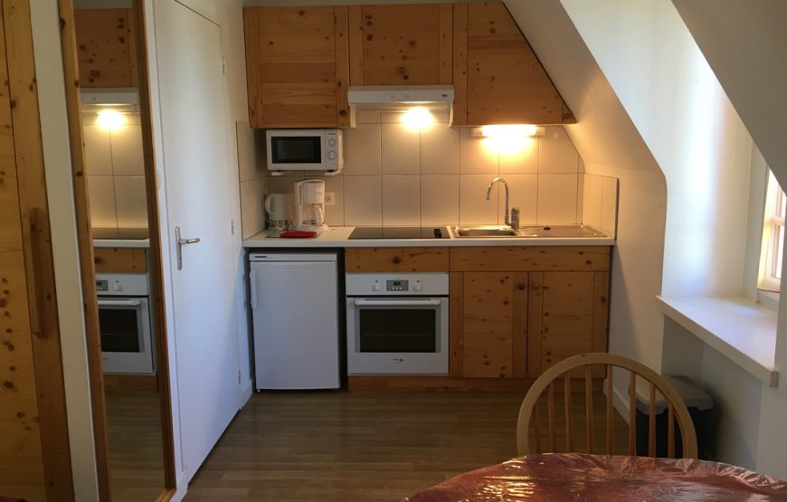 Chalet Camille – Appartement n° 21